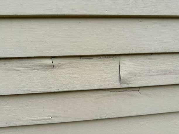 Best Engineered Wood Siding  in Bard College, NY